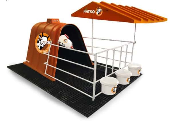 Calf-Hutch-Content Calf-Hutch-Content