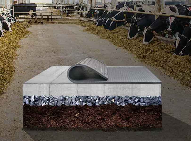 rubber animal mats